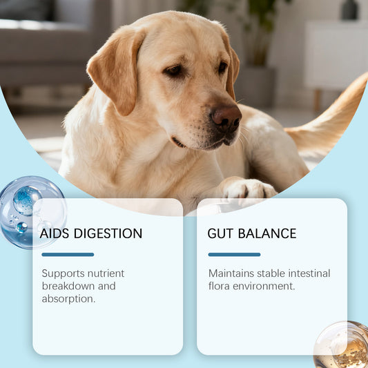 Dog Intestinal Health Soft Granules