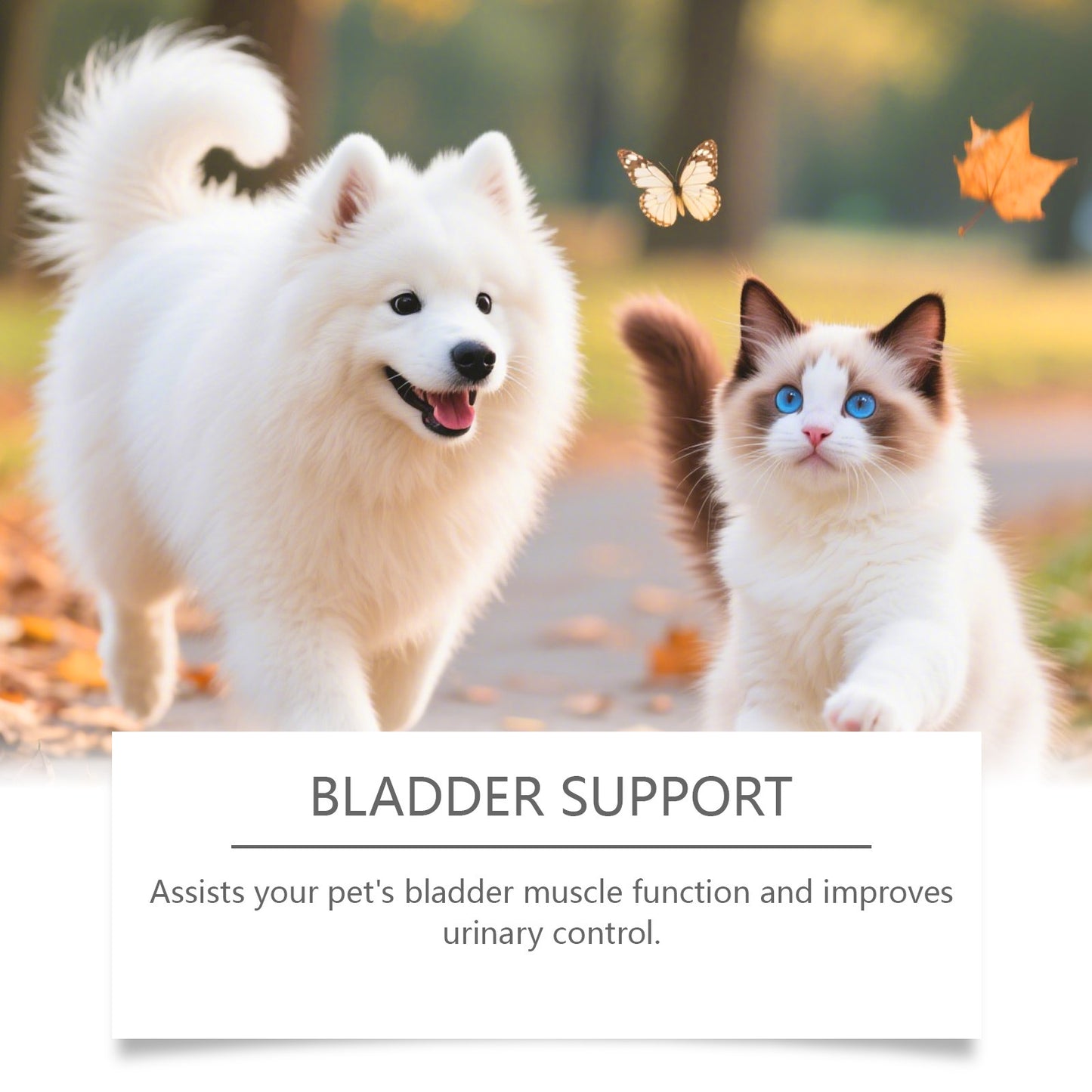 Cat And Dog Urinary Health Drops