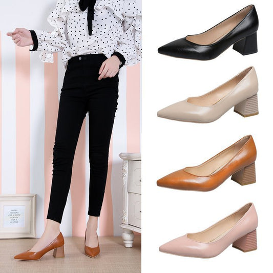 Pointed toe shoes with thick heels