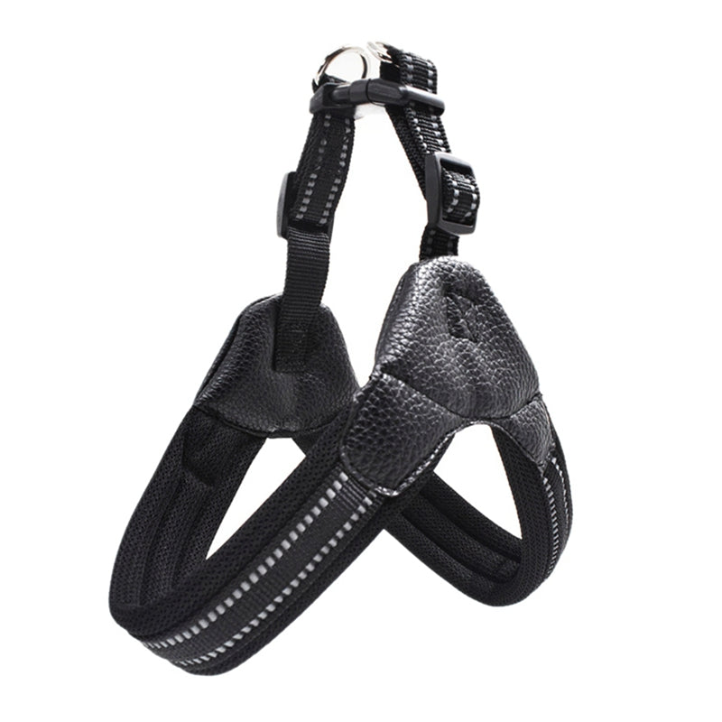 Reflective leash for dog