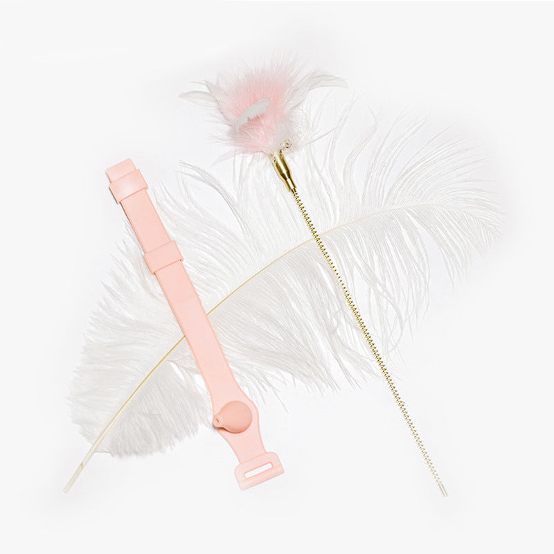 Fun Bite-Resistant Collar Cat Feather Toy
