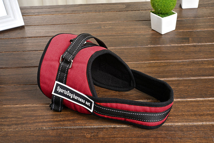 Hundesele til mellemstore og store hunde