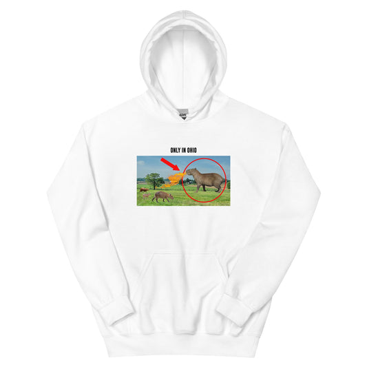 Women's Sleeping Buns Softer Hoodie