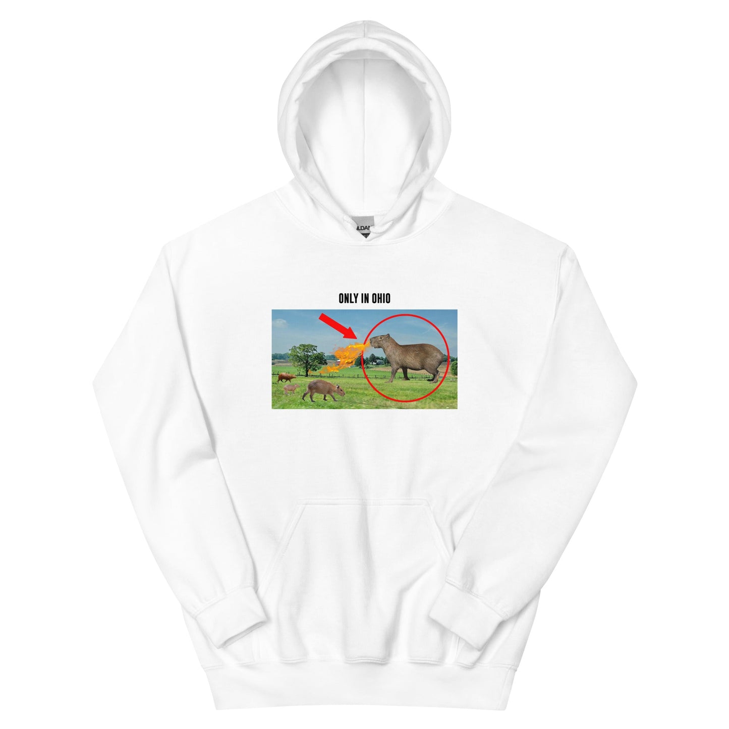 Women's Sleeping Buns Softer Hoodie