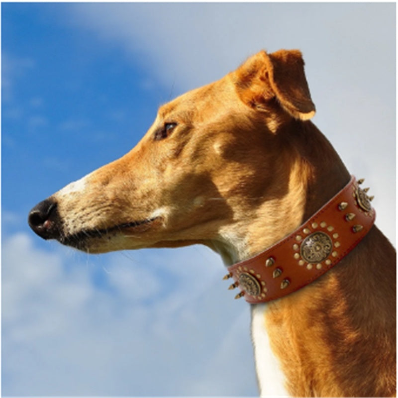 Neck Sleeve Pet Head Layer Alloy Rivets Retro