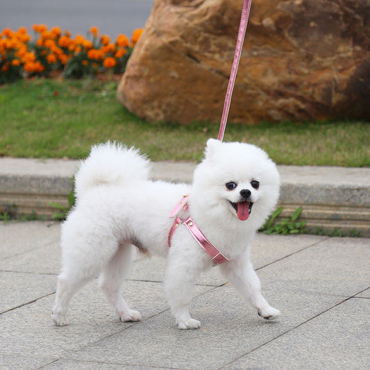 Traction Suit Small And Medium Dog Leash