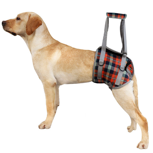 Assistive Belt For Pet Legs Hind Legs Postoperative Rehabilitation Belt For Elderly Dogs Assisted Walking Sling Leggings