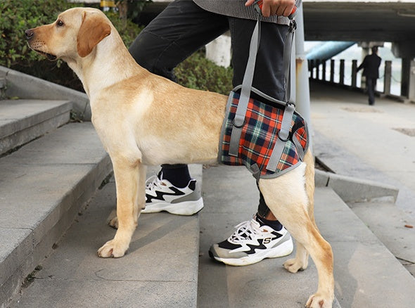 Assistive Belt For Pet Legs Hind Legs Postoperative Rehabilitation Belt For Elderly Dogs Assisted Walking Sling Leggings