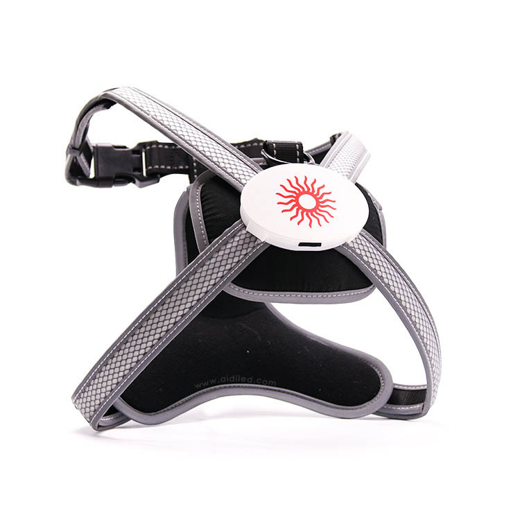 LED Hundesele med udtrækkelig træksnor