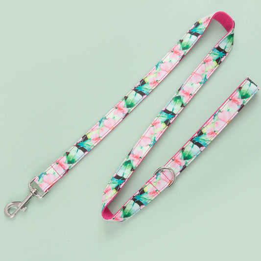Dog Collar Amazon Dog Leash Pattern Set
