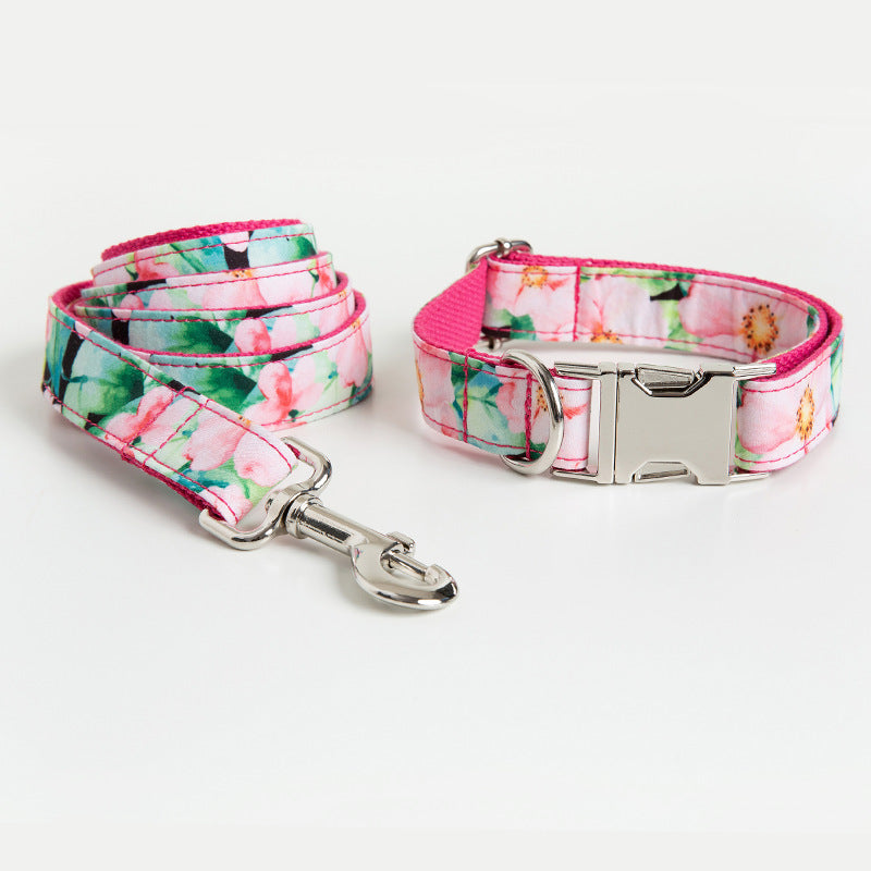 Dog Collar Amazon Dog Leash Pattern Set