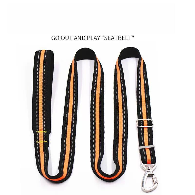Cross Border Hot Sale Pet Dog High Elastic Traction Rope Strong Fastener Big Dog Special Traction Rope Spot Wholesale