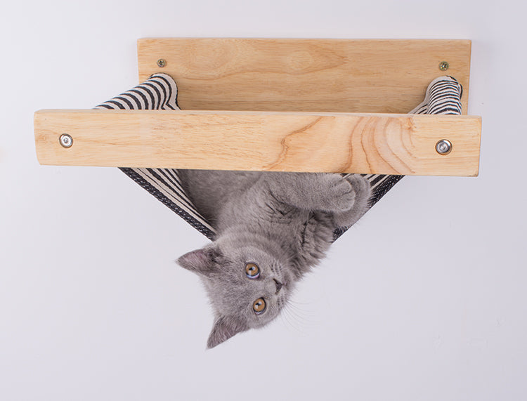 Cat hammock on the wall