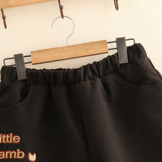 Plush Japanese style woolen shorts