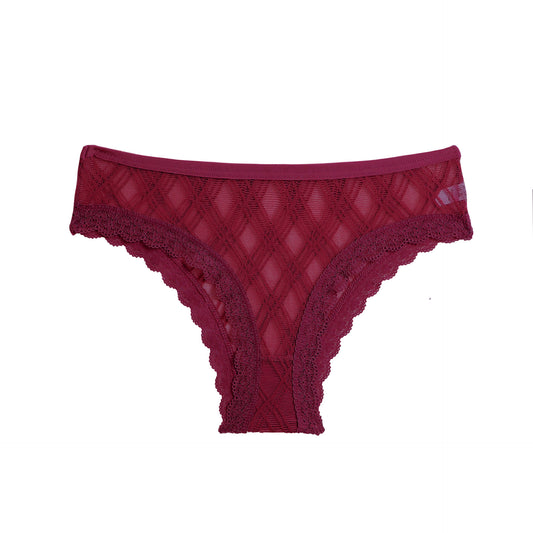 Women's Mesh Lace Trim Panel Briefs