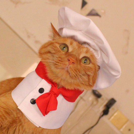 Hat Scarf Pet Changing Outfit