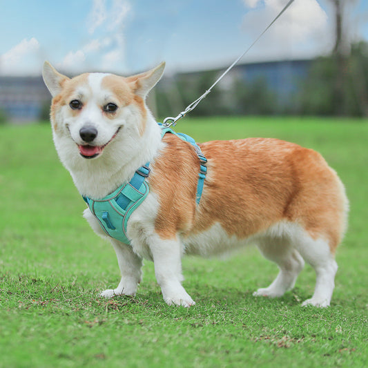 Large Anti Slip Pet Chest Harness In Traction Rope