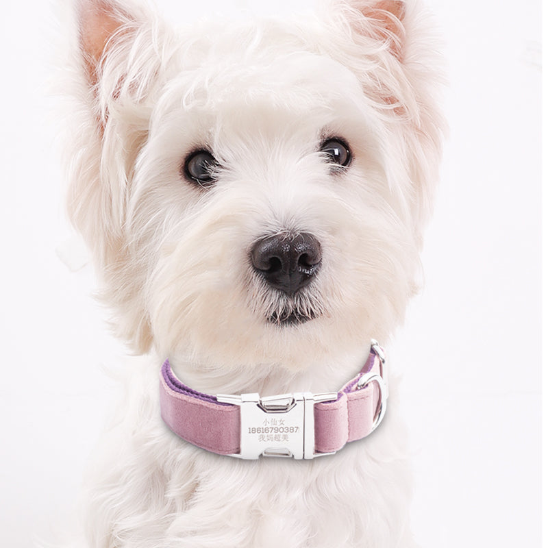Pink dog collar
