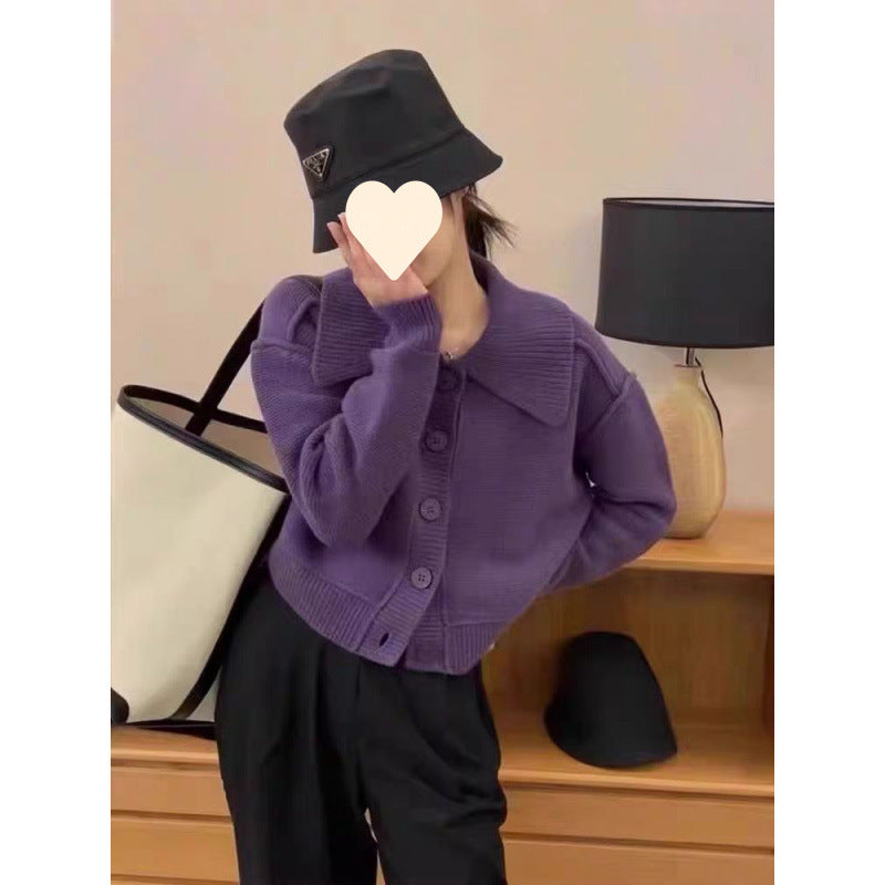 Lapel Sweater Cardigan Niche Sweater Top