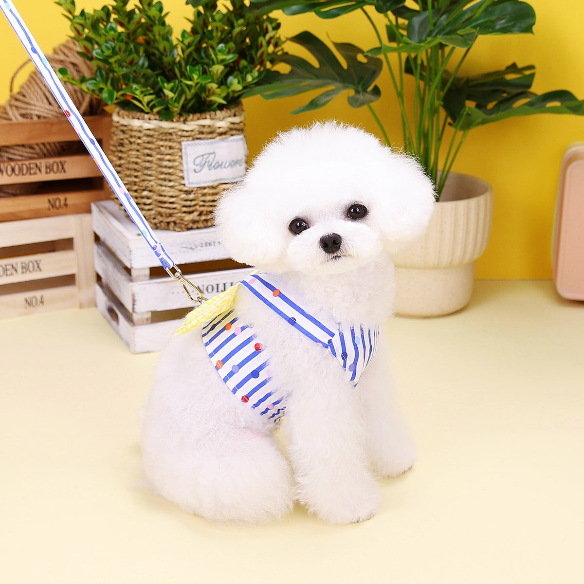 Pet Clothing Vertical Bar Bow Chest Back