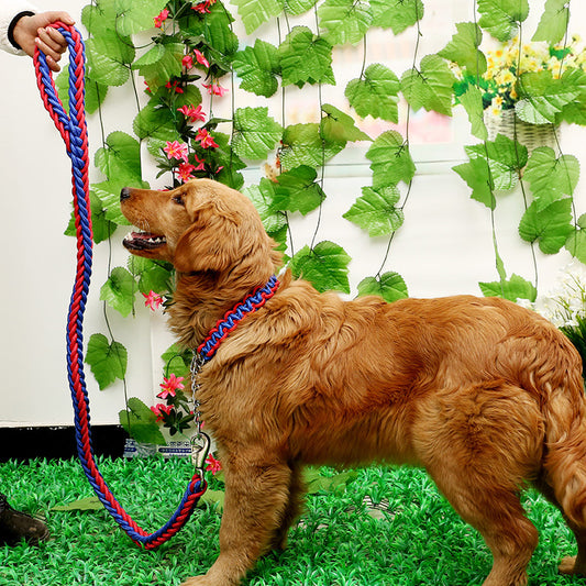 Strong quality dog Leashes Updated color col stereotyped rope Large Dog Leashes with P-chain for Great strength dog