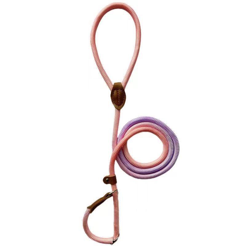 Colorful Durable Bold Nylon Pet Hand Holding Rope