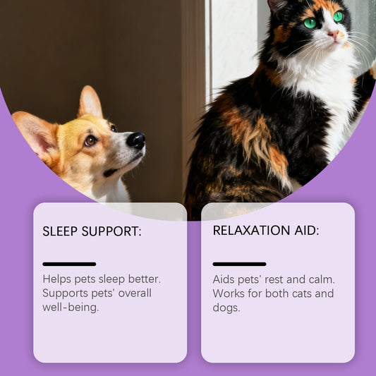 Kriath Pet Cat And Dog Care Drops Gentle, Nourishing, And Soothing Drops For Cats And Dogs, Ideal For Daily Sleep And General Care