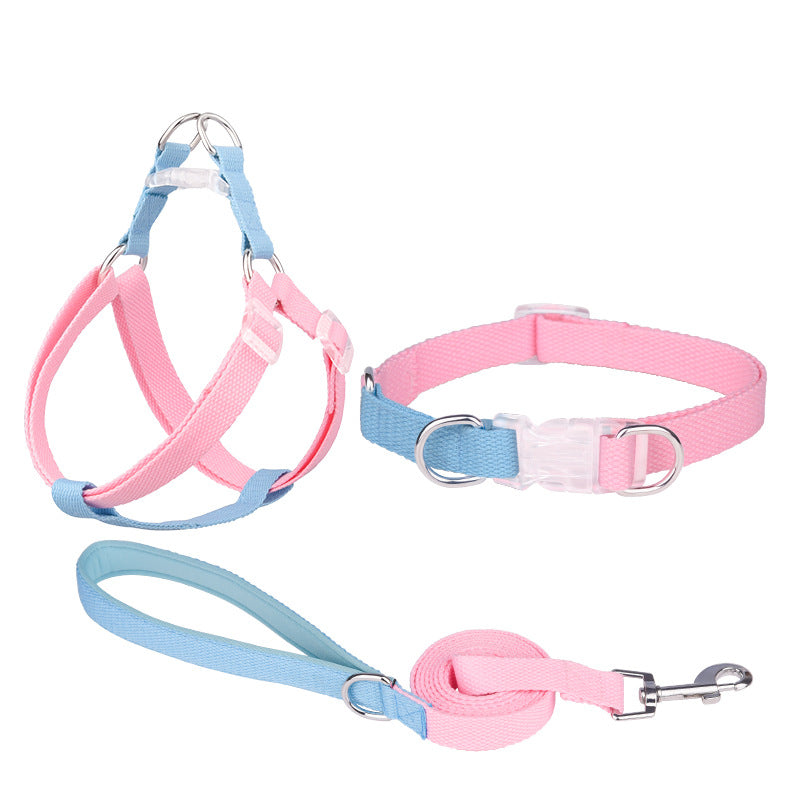 Polyester Ribbon Dog Collar Pet Hand Holding Rope
