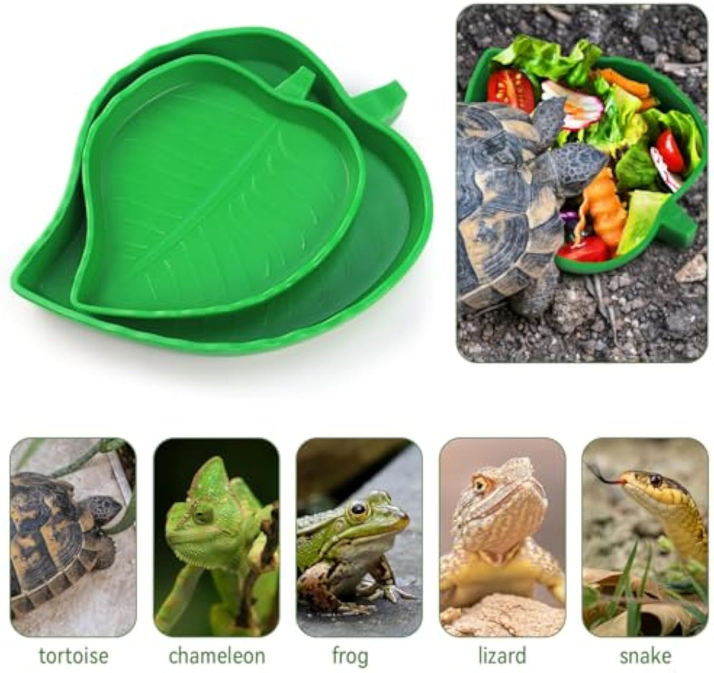 2 Pcs Leaf Reptile Food Water Bowl Plate Dish For Tortoise, Lizards, Young Bearded Dragons, Small Snakes, 2 Sizes