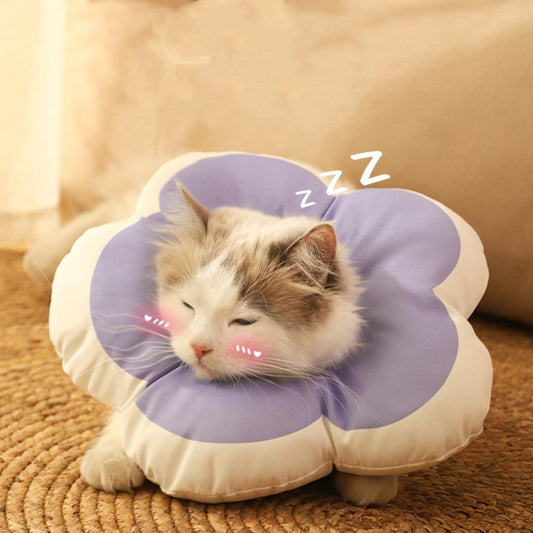 Anti Licking Soft Cap Cat Collar