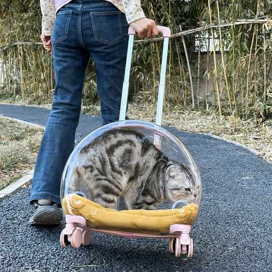 PC Pet Trolley Cat Bag Fully Transparent Reinforcement