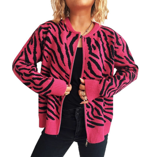 Color Block Zebra Stripes Round Neck Fashion Leisure Commute Women's Sweater