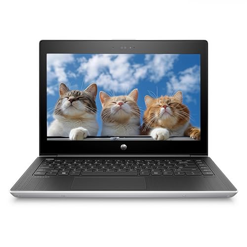 HP ProBook MT31 bärbar dator med tunn klient, 13,3 tum HD-bärbar dator, Intel Celeron 3867U, 8 GB RAM, 128 GB SSD, amerikanskt tangentbord, Windows 11 Pro (renoverad)