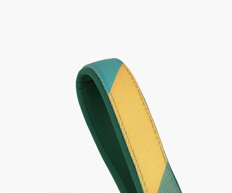 Dog shock absorbing traction rope