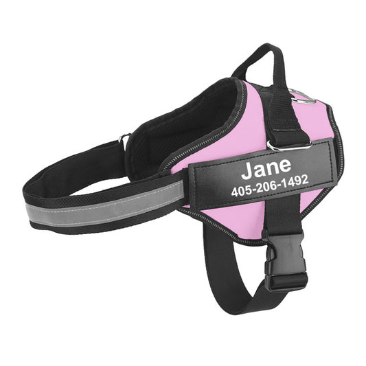 Multicolor Fashionable Personalized Pet Traction Rope