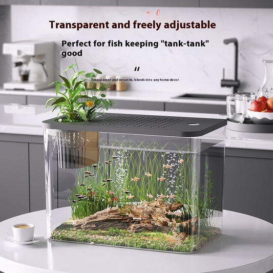 Ecological Betta Tank Living Room Mini Size Home