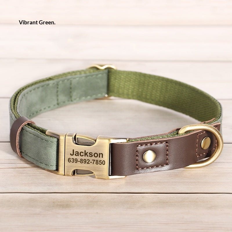 Medium Sized Dog Collar For Walking