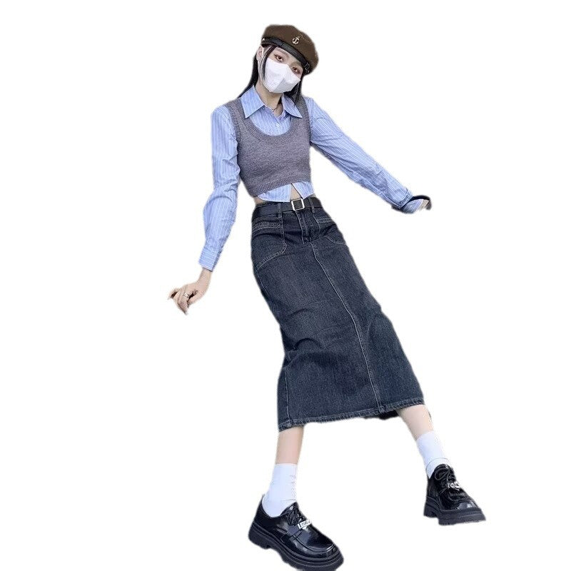Korean Slim Fit Slimming Skirt American Style