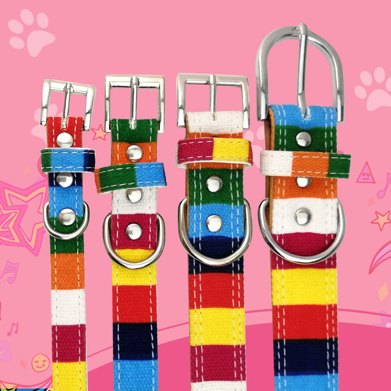 Colorful Pet Dog Collar With Traction Rope