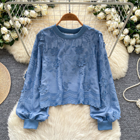 Womens Lantern-Sleeve Crew-Neck Sweatshirt With Embroidery Loose Fit