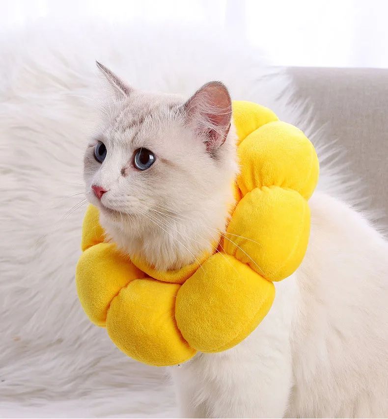 Cat Sunflower Elizabeths Cotton Neck Sterilization Feeding Anti Lick Bite Beauty Head Cover Dog Pet Collar Cat Anti-Licking Ring