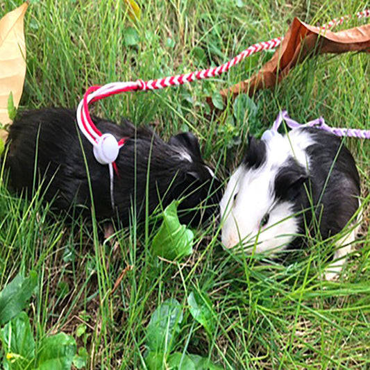 Hamster pull rope hand woven rope