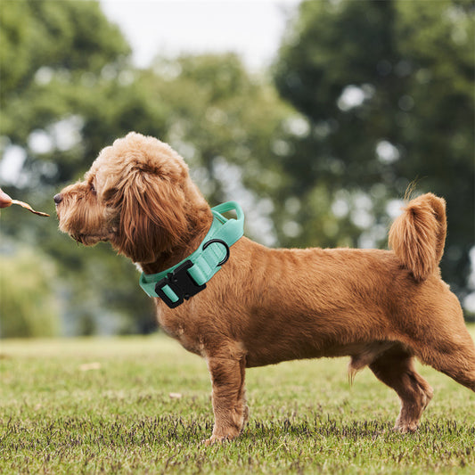 Stylish Traction Adjustable Large And Medium Dog Leash