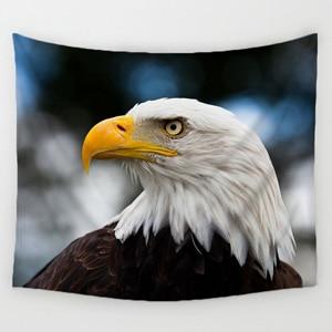 b1a01362e0ac246b4d8fd35cd80ba377