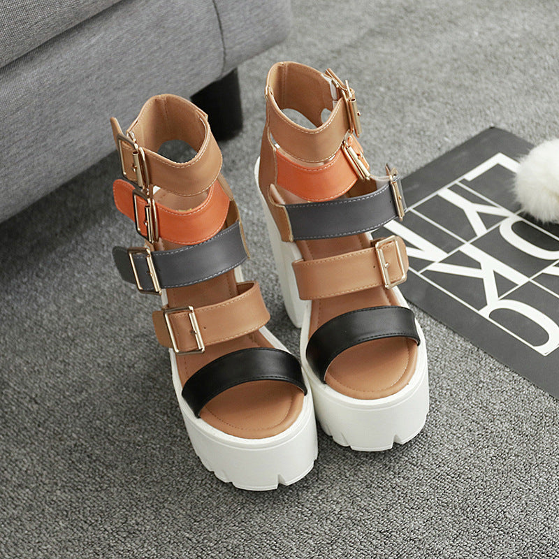 Colorblock Roman Fish Mouth Chunky Heel Platform High Heels