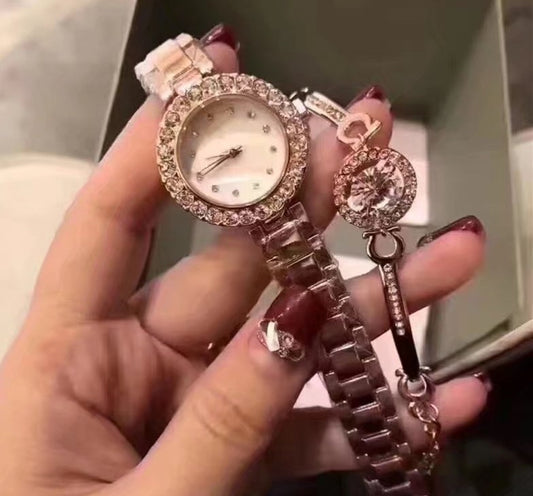 Quartz steel strap ladies watch