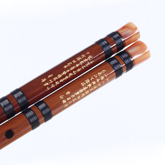 Single Plug Brass Two Segments Flute Beginner