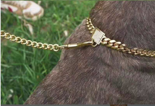 Pet dog collar stainless steel titanium steel gold encryption chain buckle dog chain
