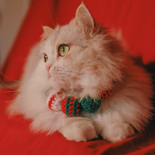 Pet Christmas Limited Ball Bib