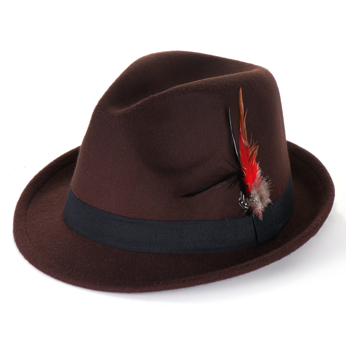 Fashion Men's And Women's Woolen Feather Hat